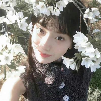 越狱第二季